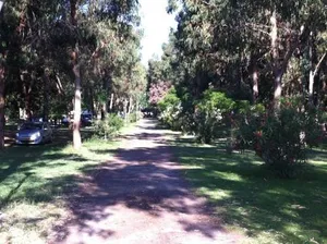 Image of Camping Miami plage