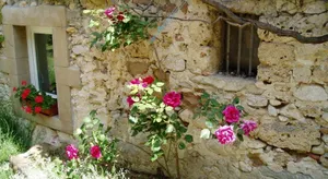 Image of GITE DE FONTEPAISSE for up to 8 people