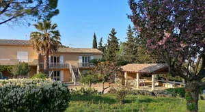 Image of LES 3 HIRONDELLES