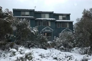Image of Three Bears 2 - Thredbo