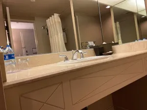 Image of HYATT REGENCY