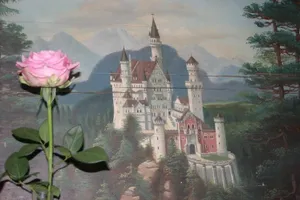 Image of Haus Magnolia