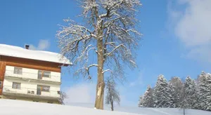 Image of Ferienwohnung Panorama