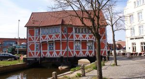 Image of Wismaria Nähe Markt - ABC170