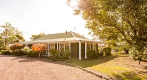 Image of Among the Vines