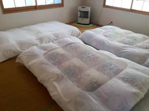 Image of Second house TOYA