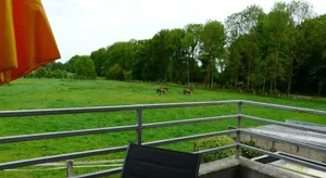 Image of Stadt trifft Land