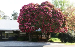 Image of Crossways Country Inn