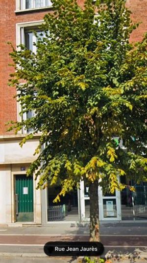 Image of Le Relax Chalons-en-Champagne