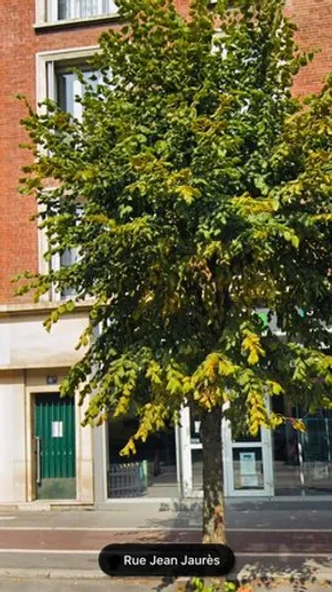 Image of Le Relax Chalons-en-Champagne