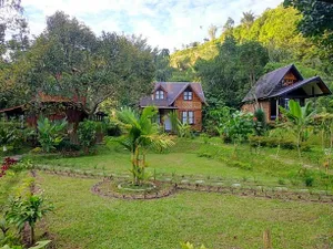 Image of Canyon Jungle Stay