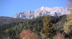 Image of TOP Mountain View