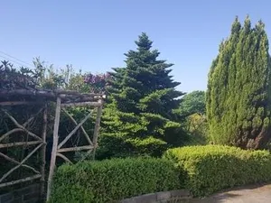 Image of Marthys House With Hot Tub Looe