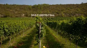 Image of Appartement-Weinberg
