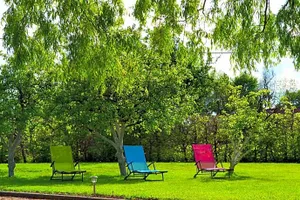 Image of La Cle de Saule