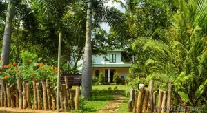 Image of Shashin Lake Resort
