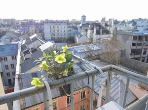 Image of Spacious, bright and beautifully decorated flat in heart of Marais short walk to Picaso Museum