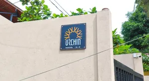 Image of Urchin Unawatuna