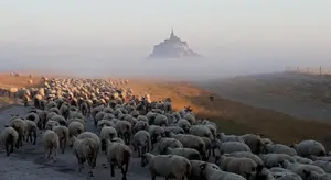 Image of L'Hirondelle