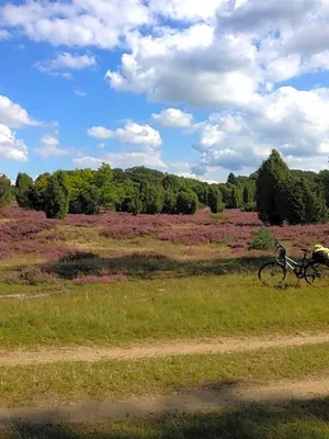 Image of Neumanns Waldschänke