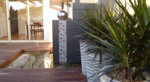 Image of The Wet Lizard