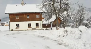 Image of Brandstattgut