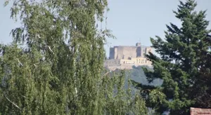 Image of Phönix aus der Asche