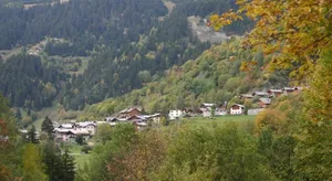 Image of la ratavelaiza
