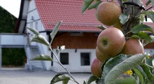 Image of Ferienhof Waggershauser