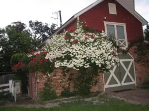Image of A Country Barn Retreat
