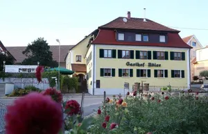 Image of Adler