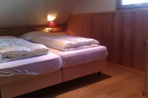 Image of De Stern en de Beuk