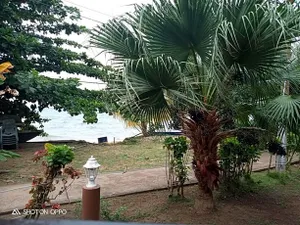 Image of Nazri's Place 2