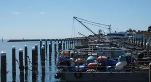 Image of Port Relaxation