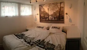 Image of B&B Houseboat between Amsterdam Windmills