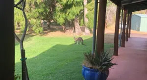 Image of Honeyeater Holiday House