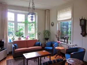 Image of De Flesch