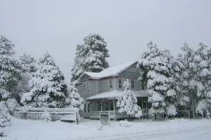 Image of Starlight Pines Bed & Breakfast