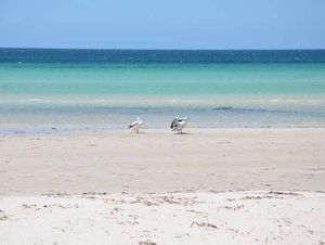 Image of Island Beach House