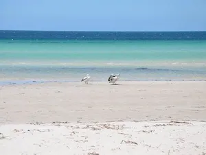 Image of Island Beach House