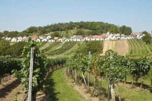 Image of Gästehaus Weinviertel - Niederösterreich