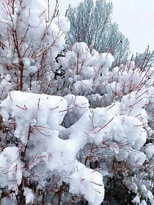 Image of Une envie de montagne