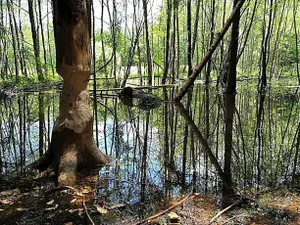 Image of La Bourgseigneurie