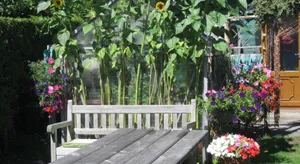 Image of Perfect for Petersfield B&B