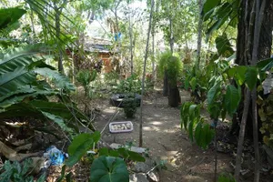 Image of Green Grass Homestay
