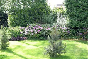 Image of Bed & Breakfast Op 't Leven