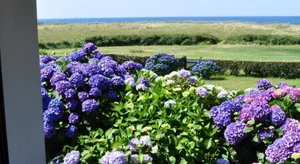 Image of Maison de vacances au bord de la plage