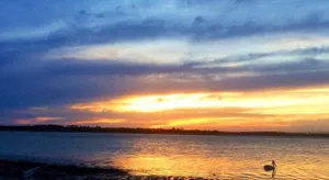 Image of Tarraloo Iluka NSW