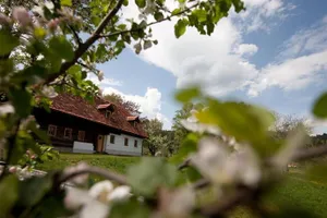 Image of Zehna Hube