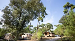 Image of Huttopia Oléron Les Chênes Verts